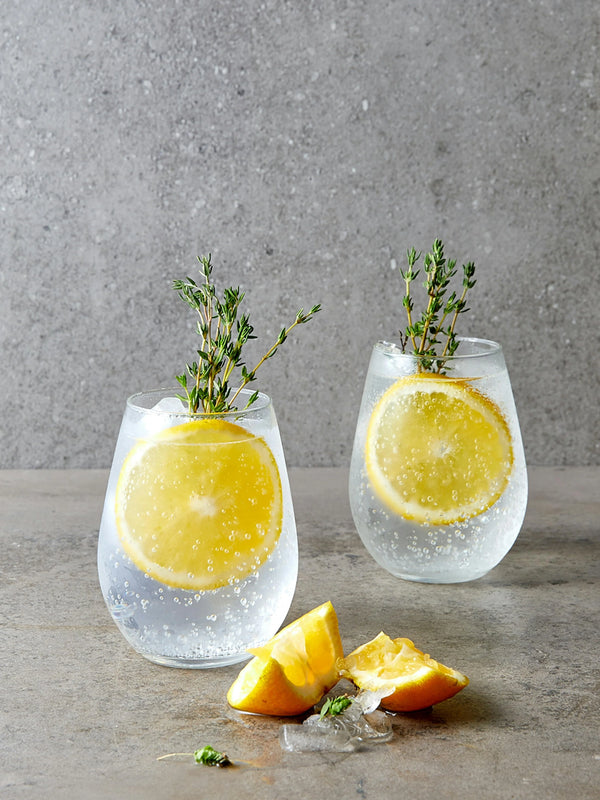 Citrus Gin & Tonic cocktail with dehydrated citrus garnish