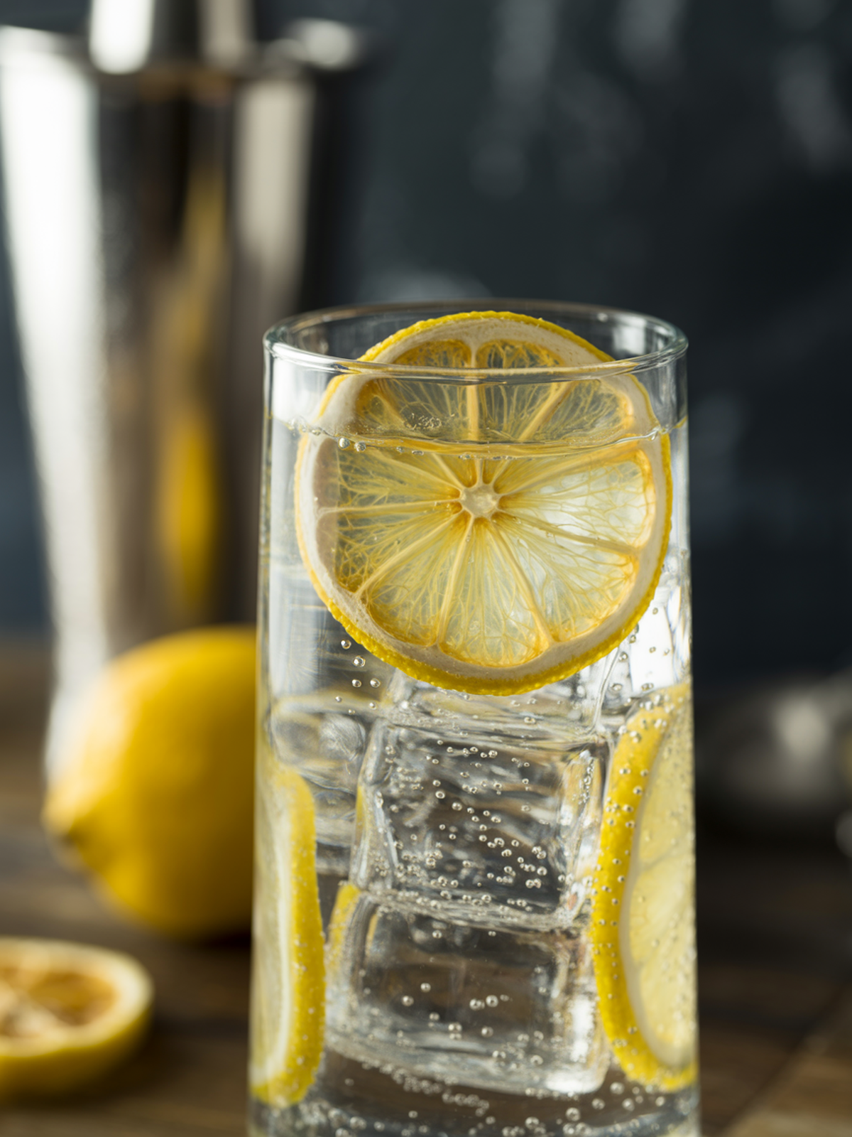 Tom Collins with Dehydrated Lemon Garnish